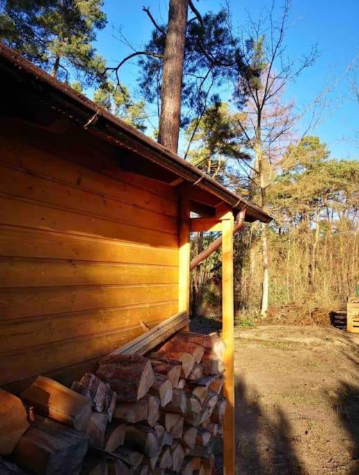 Holiday home Haus Clemens - Gemuetliches Holzhaus Mit Grundstueck Koenigs Wusterhausen